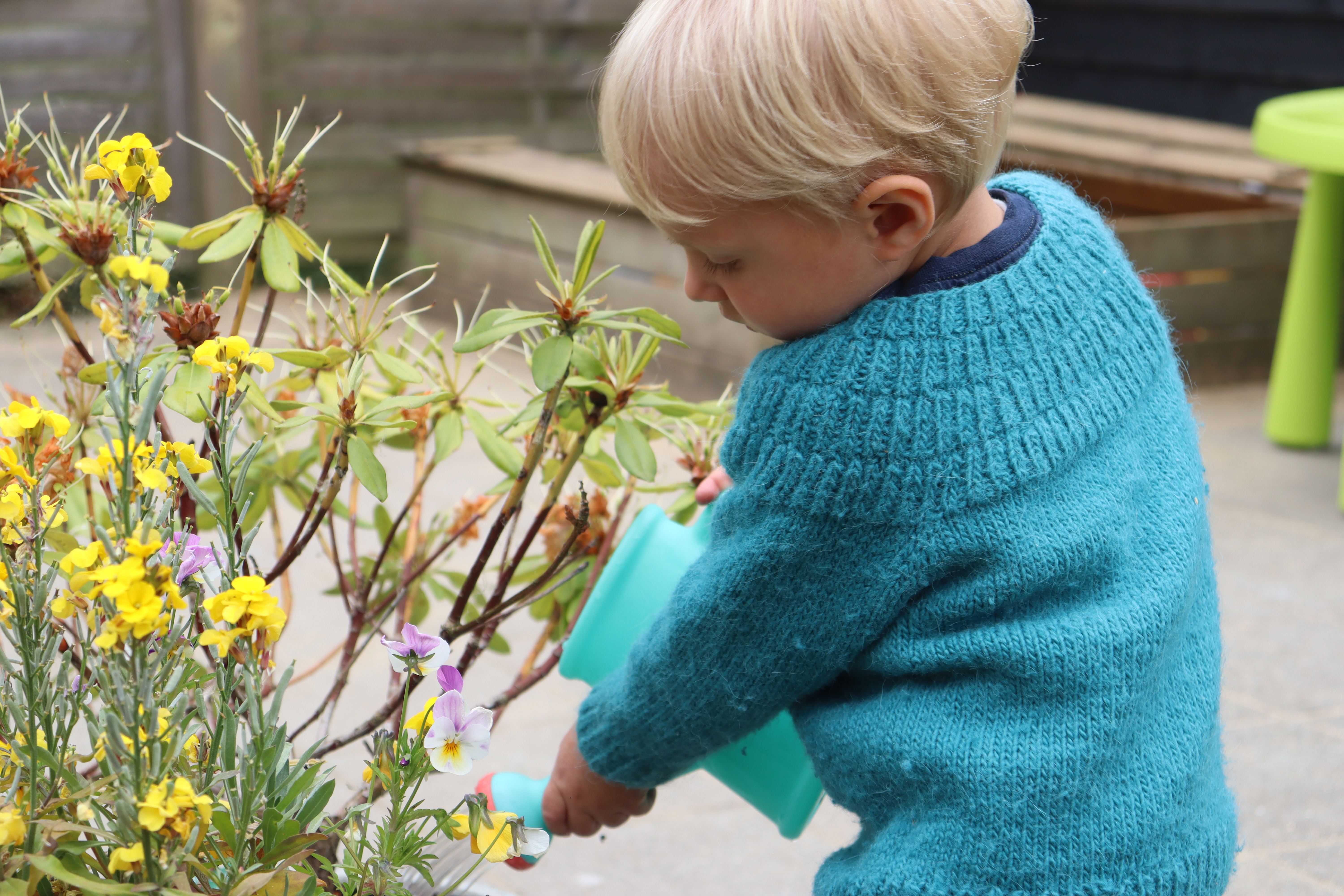 Dreng i Dagpleje vander gule blomster med vandkande